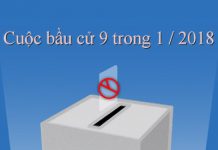 Cuộc bầu cử 9 trong 1. Quốc Dân Đảng chiếm 15 ghế . Đảng Dân Tiến chiếm 6 ghế