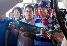 郭台銘找親民黨合作參選? 黃健庭:子虛烏有