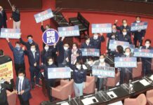 修憲複決滿20歲才可投 是否併九合一大選待決