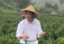 2022選戰/國慶主題賣亡國感?林佳龍批國民黨一直活在過去