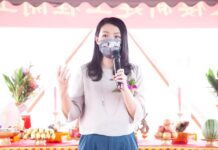 立委也該辭職參選? 朝野都說不見得