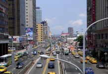 給陳時中上的第一堂財經課 謝金河籲把台北市的樹種回來!