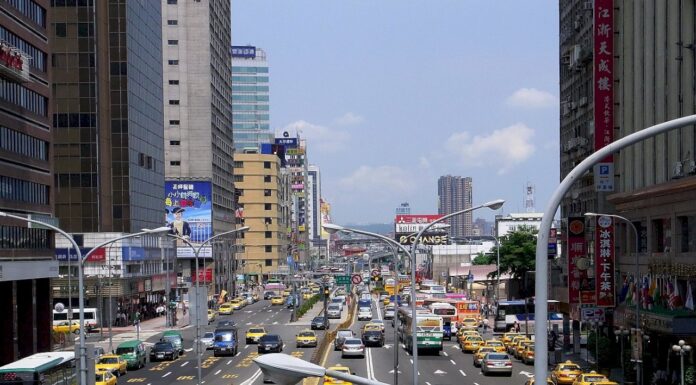 給陳時中上的第一堂財經課 謝金河籲把台北市的樹種回來!