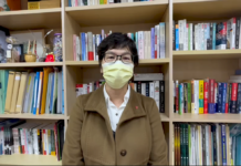 蔡壁如選新北市長? 7成可能 會再與柯文哲討論