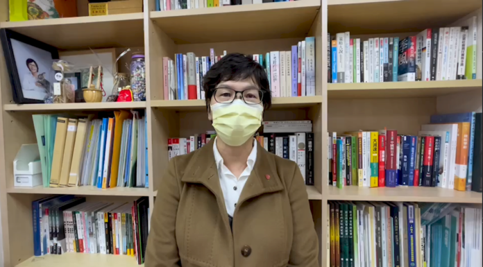 蔡壁如選新北市長? 7成可能 會再與柯文哲討論