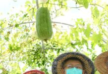 黃珊珊掛「無黨籍」參選民眾黨有雜音?柯文哲:黨籍不那麼重要