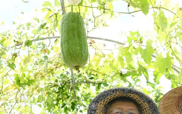 黃珊珊掛「無黨籍」參選民眾黨有雜音?柯文哲:黨籍不那麼重要