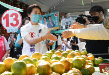 Audio: Kommunalwahlen Wahlkampf auf einem Markt in der Stadt Taipei (Foto: CNA)