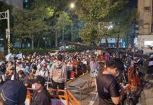 2022選戰/黃珊珊:政黨綑綁難擺脫 持續努力信終會成功