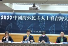 海外人士看九合一大選 民進黨敗不代表國民黨贏