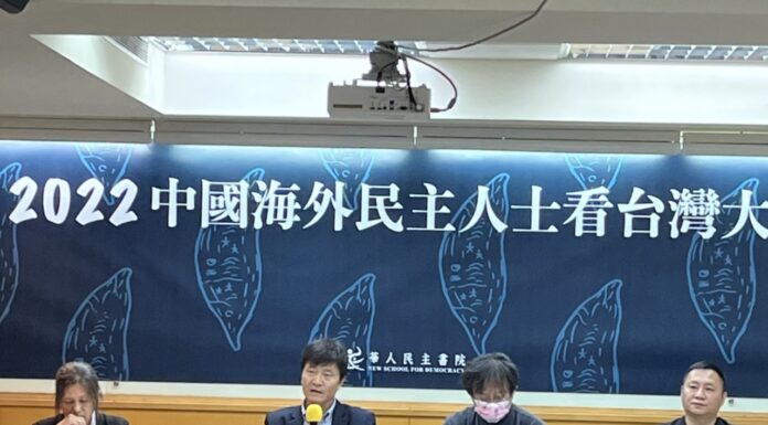 海外人士看九合一大選 民進黨敗不代表國民黨贏