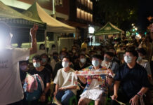 Election Commission says public can promote referendum on election day