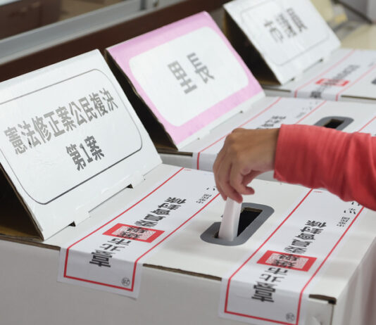 Referendum to lower voting age to 18 fell short of threshold